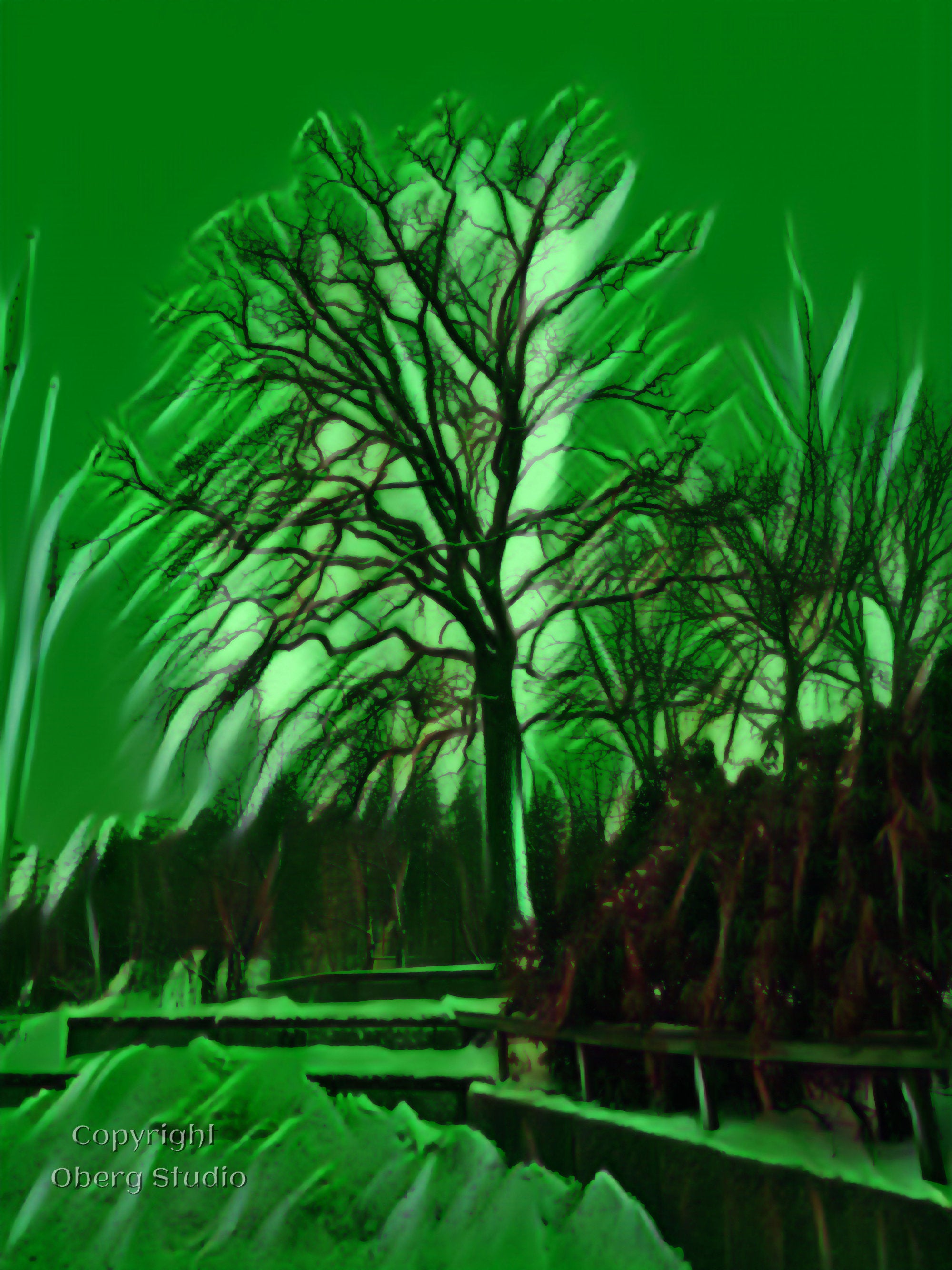 “winter landscape with a solitary tree”